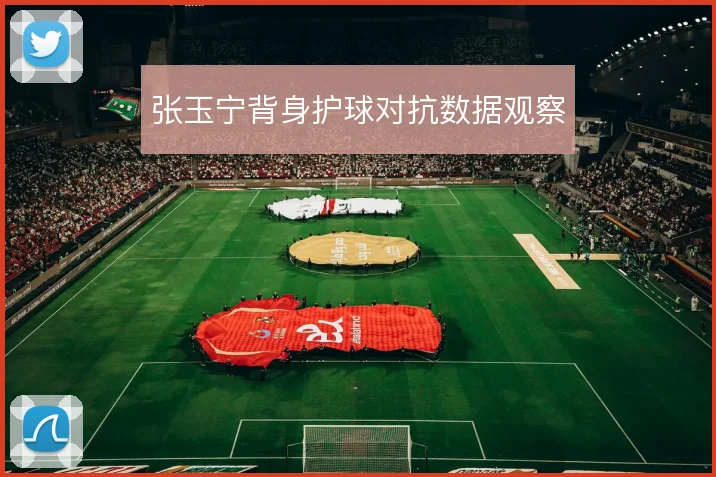 张玉宁背身护球对抗数据观察